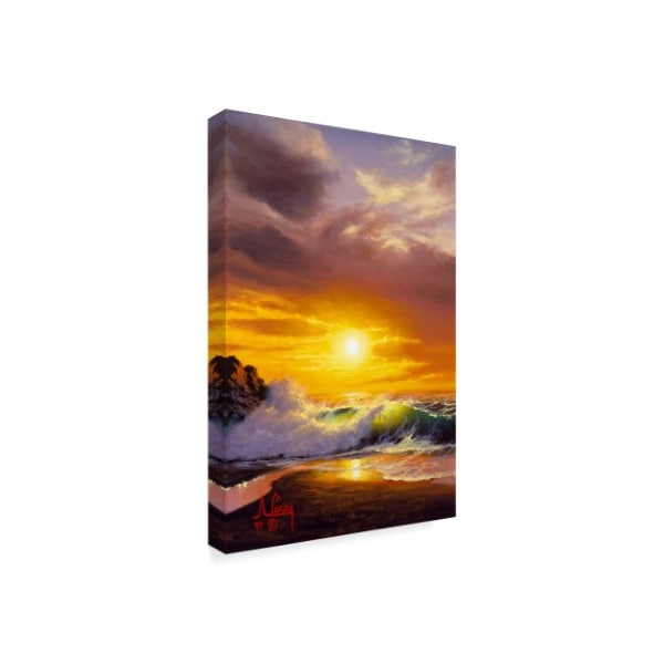 Anthony Casay 'Sunset Coast 8' Canvas Art,22x32